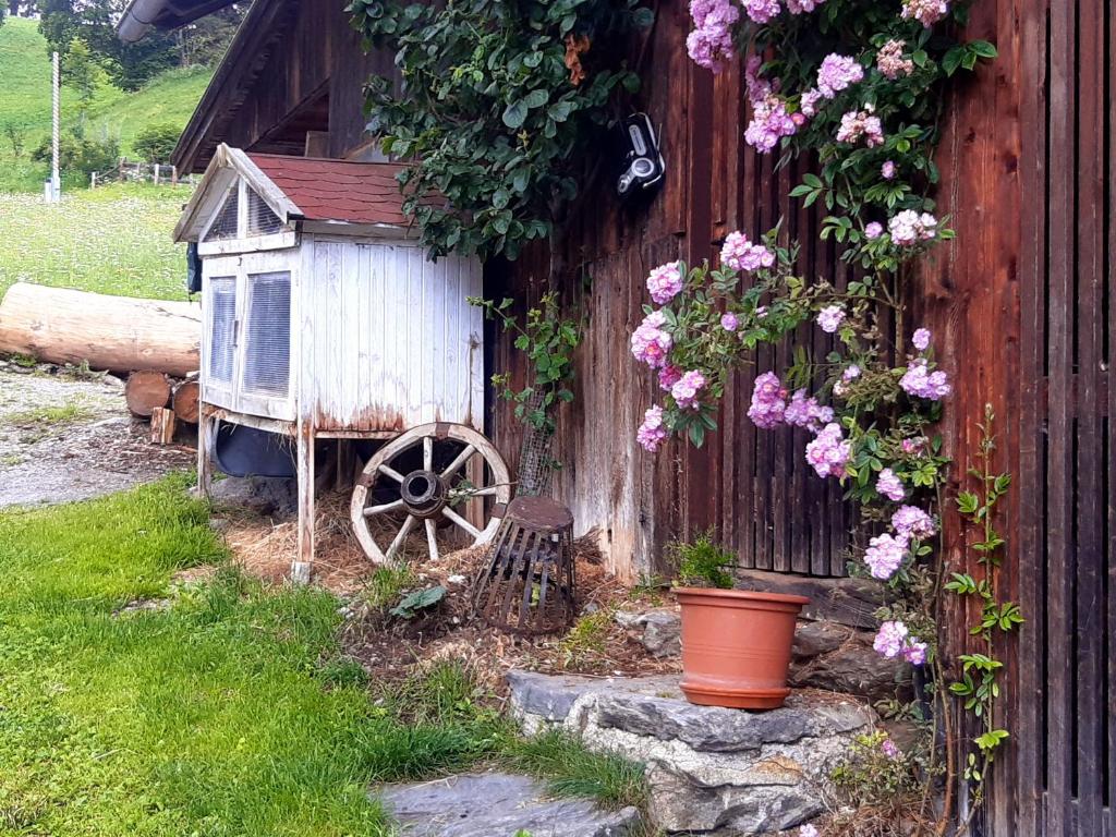 Aed väljaspool majutusasutust Bed & Breakfast Dolomiti Bey Haus Pinter