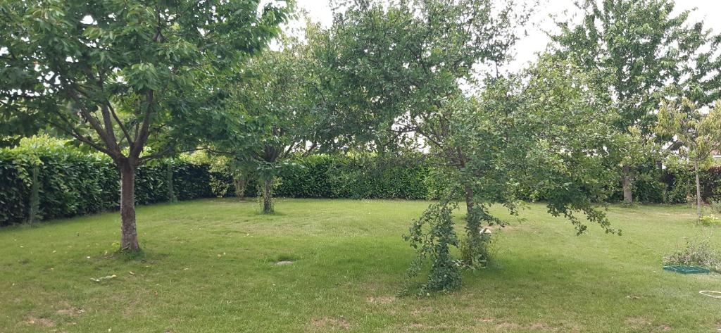 two trees in a grassy yard with trees at Gite de l'Archipel - Ville de Cahors - Parking in Cahors