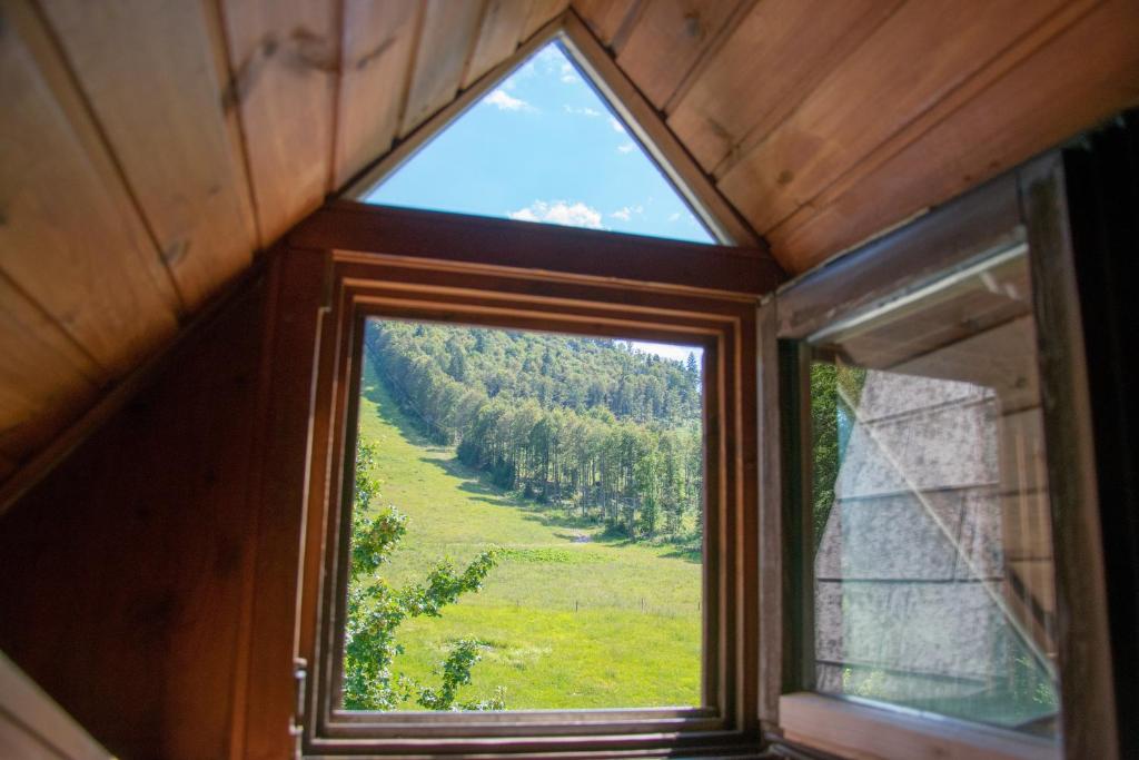 Příroda nedaleko hotelu