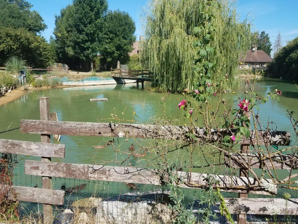 una valla frente a un estanque con un puente en Ferme bressane les Arums en Mervans