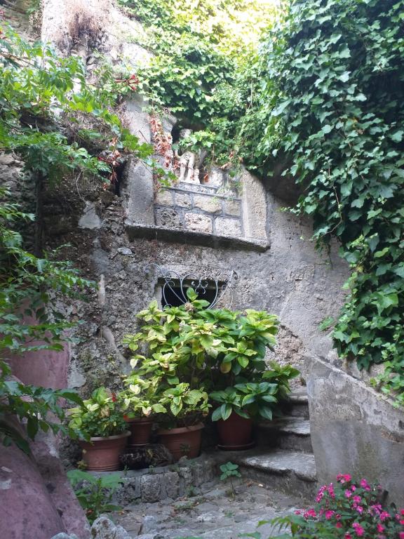 Zahrada ubytování Palazzo Caracciolo