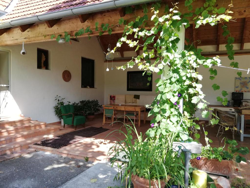 un patio di una casa con tavolo e albero di Anna's Cosy Apartment a Illmitz