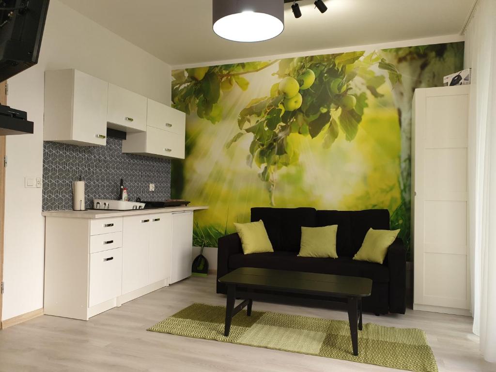 Chopina 29 Sopot Apartments - King Studio With Sofa Bed