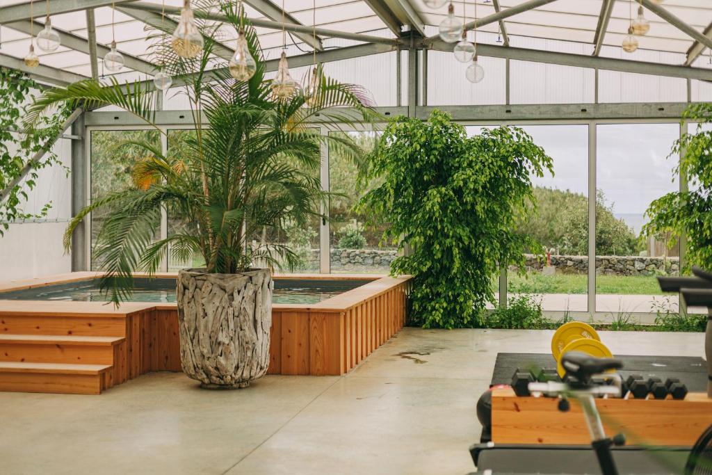 a greenhouse with a pool and plants in it at Santa Barbara Eco-Beach Resort in Ribeira Grande