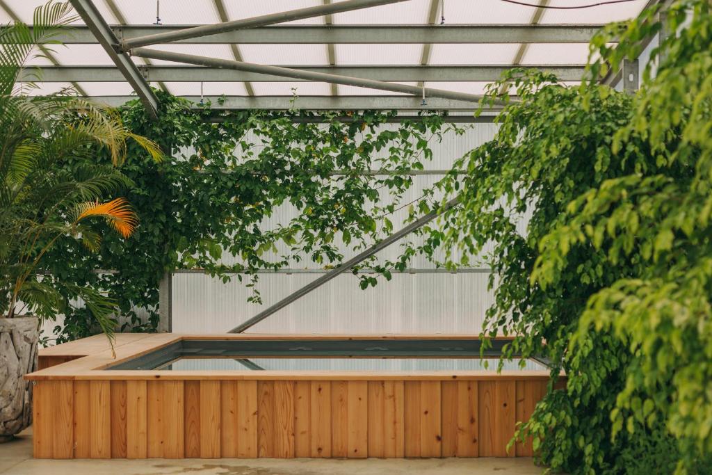a swimming pool in a greenhouse with trees at Santa Barbara Eco-Beach Resort in Ribeira Grande