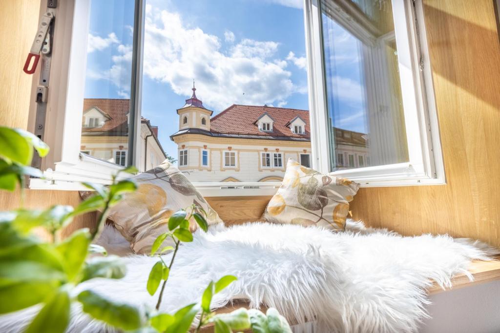 Domácí mazlíčci ubytovaní s hosty v ubytování Old Quarter Residence