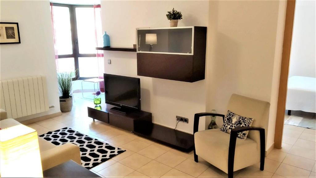 TV a/nebo společenská místnost v ubytování Sierco Apartamentos Ainsa