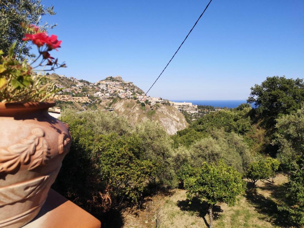 eine Vase mit einer Pflanze mit Meerblick in der Unterkunft Villa Chris in Taormina