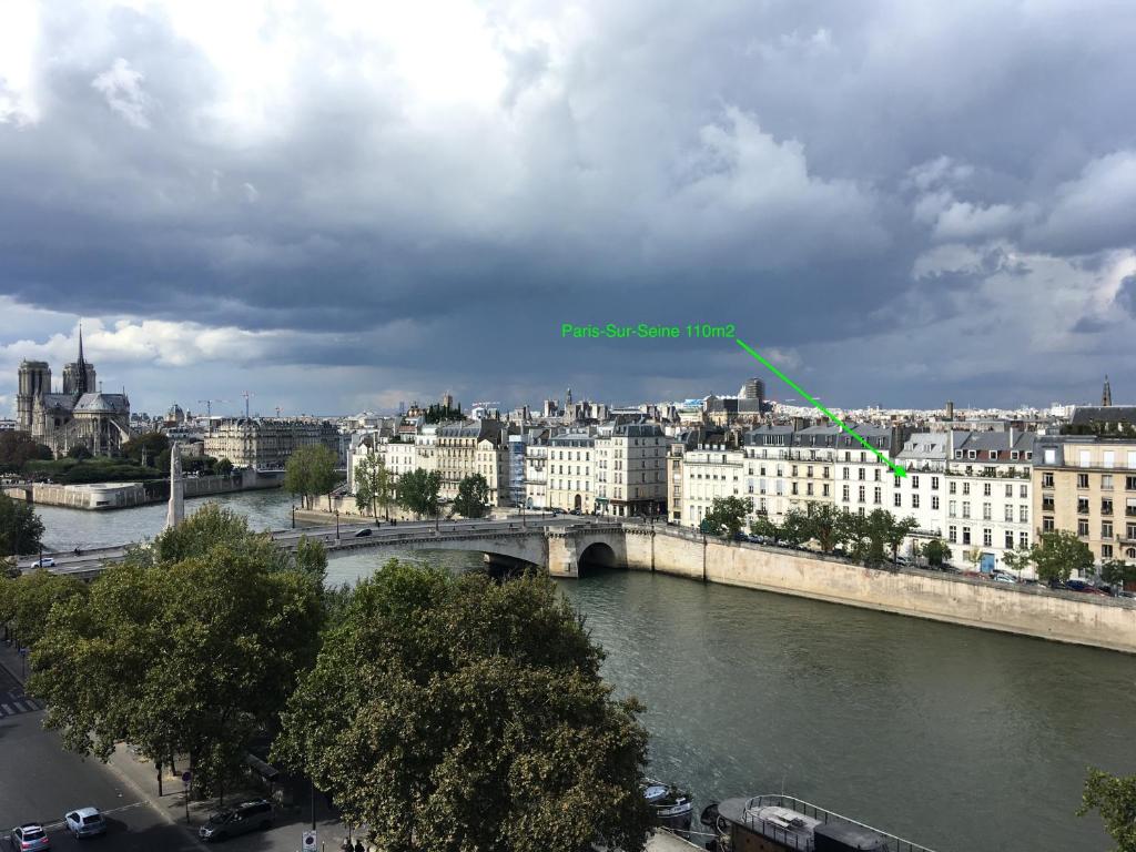 a view of a city with a bridge and a river at Paris-sur-seine-chez-caroline in Paris