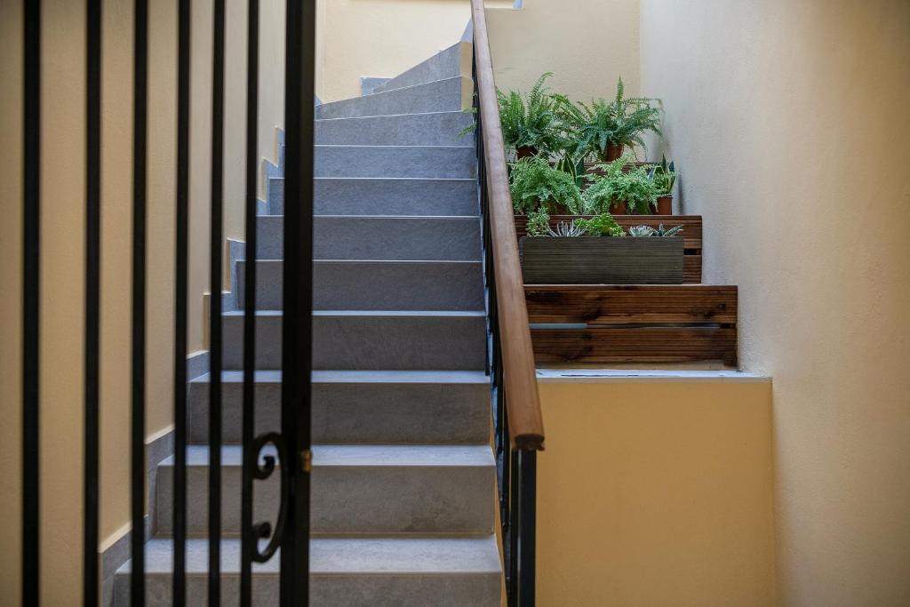 Camere Maritima - Resim 27