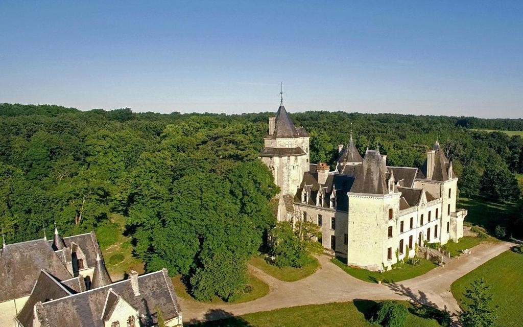 een luchtzicht op een oud kasteel met bomen bij Château de Ternay in Ternay