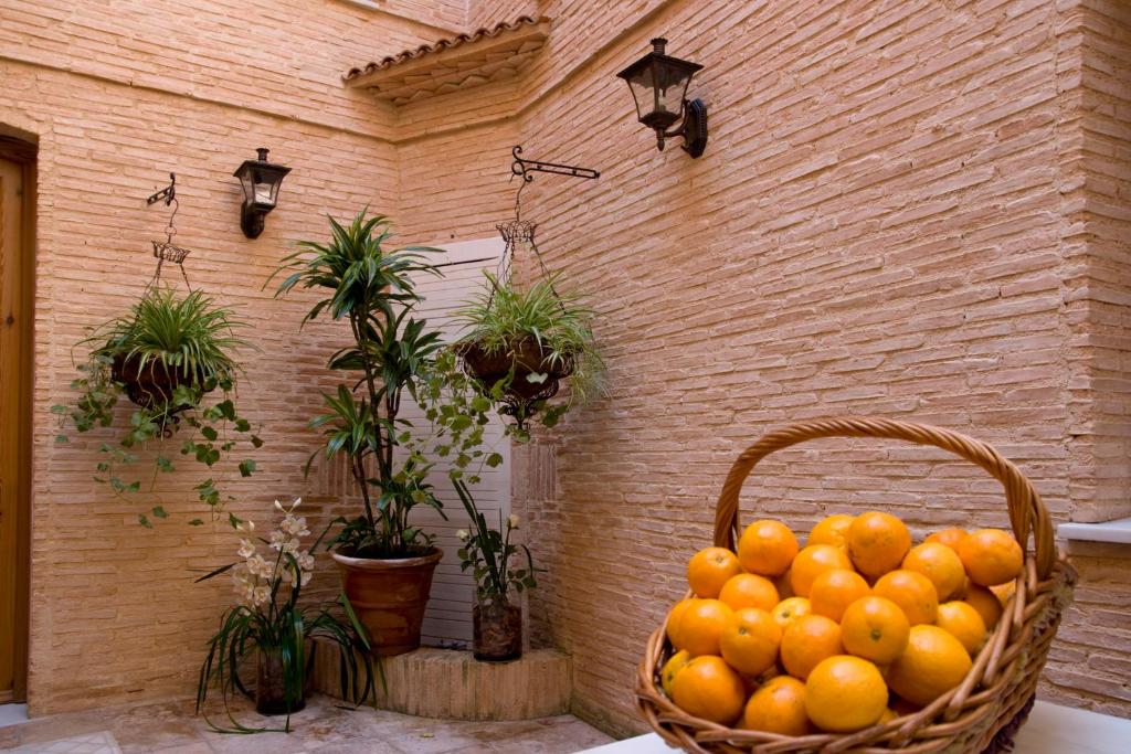 Fotografie z fotogalerie ubytování Hotel Casa Babel v destinaci Villalonga