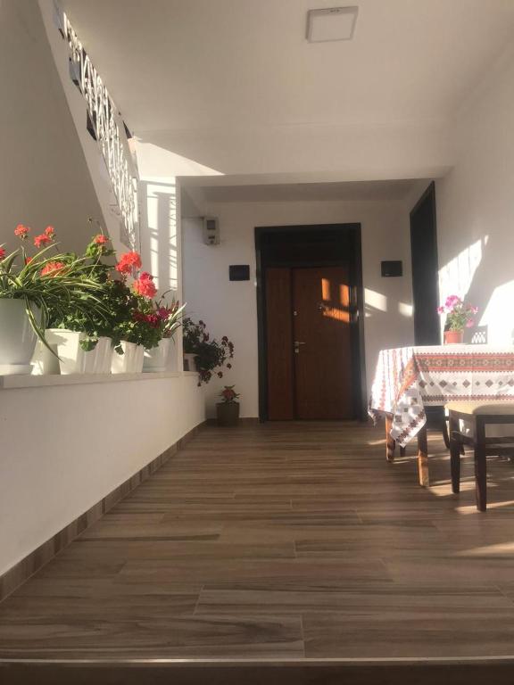 Imagem da galeria de Apartment Koka em Berati