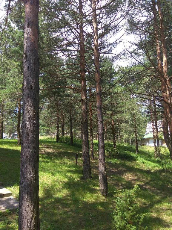 Peisaj natural din apropierea acestui apartament