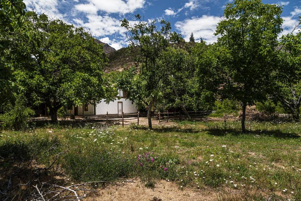 a white house in a field with trees and flowers at Casona El Resguardo - Solo Adultos in Río Blanco