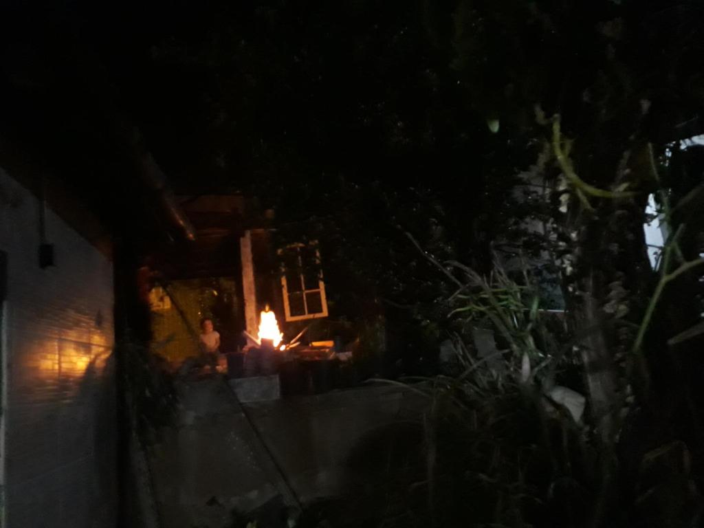  Jungle House SP