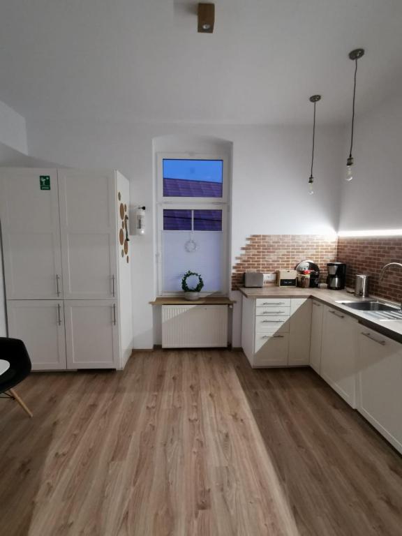 Kuchyňa alebo kuchynka v ubytovaní Apartament KurOrt Gaja