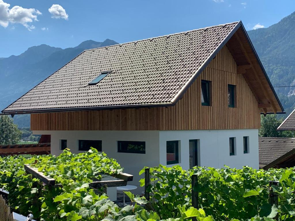 a house in a vineyard with mountains in the background at Ferienhaus Feil in Oberdrauburg