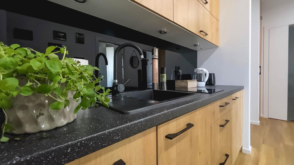 a kitchen with a sink and a black counter top at Apartament Naturalny-Lake Apartments, osiedle Calamo Park-Olsztyn in Olsztyn