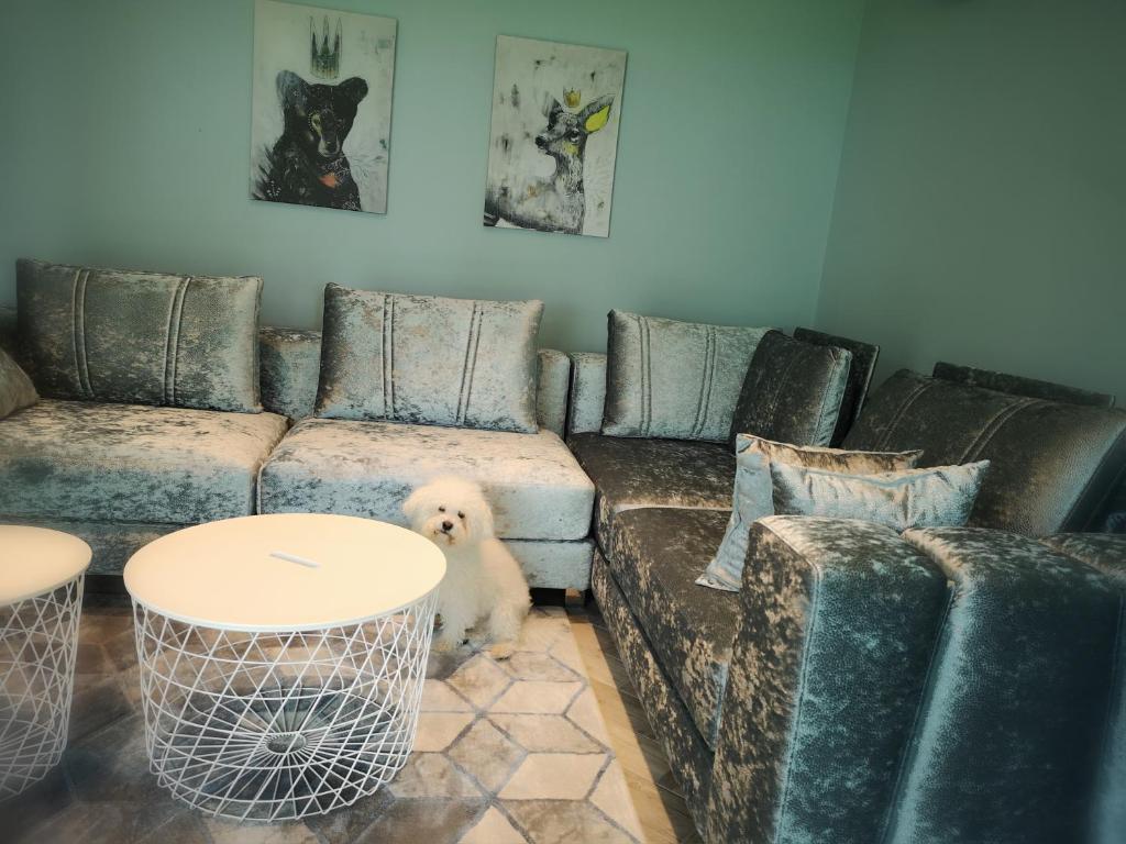Posedenie v ubytovaní Fűzliget Mangó Terrace