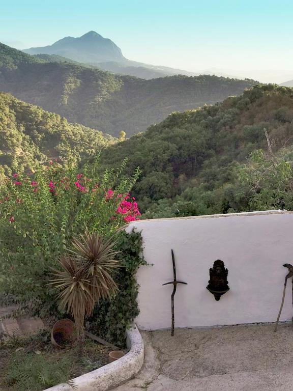 Naturaleza y Arte en la Casa del Molino, Genalguacil ...