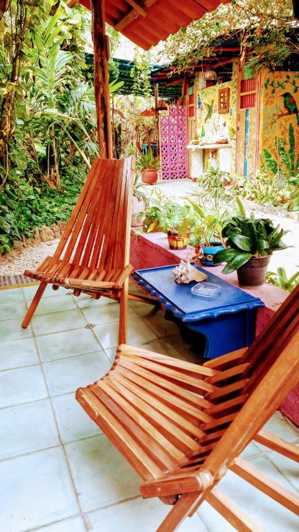 Un jardín fuera de Hostel Candelaria