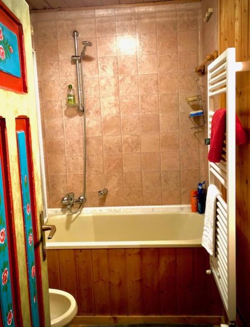 A bathroom at Chalet Sappada
