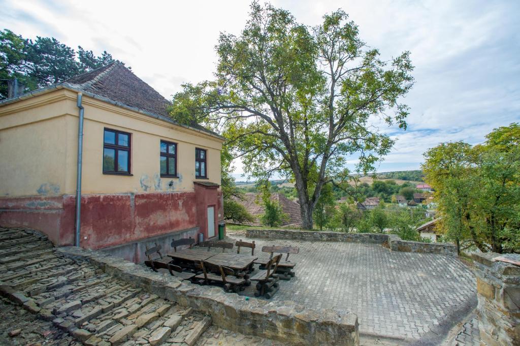 Příroda nedaleko hostelu