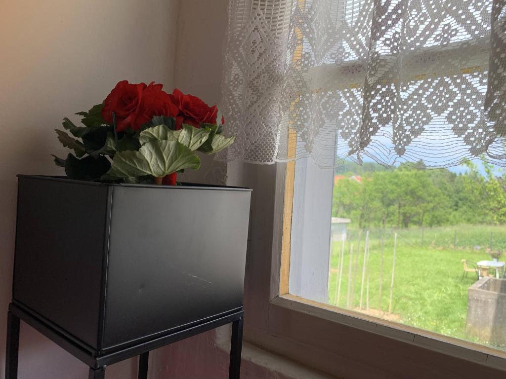 Televízia a/alebo spoločenská miestnosť v ubytovaní Apartmani Poljančić