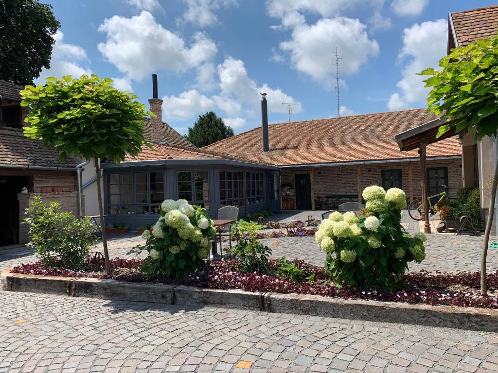 a house with two trees in a garden at BAB-LAK Apartman in Kisvárda