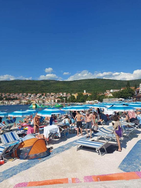 Příroda nedaleko apartmánu