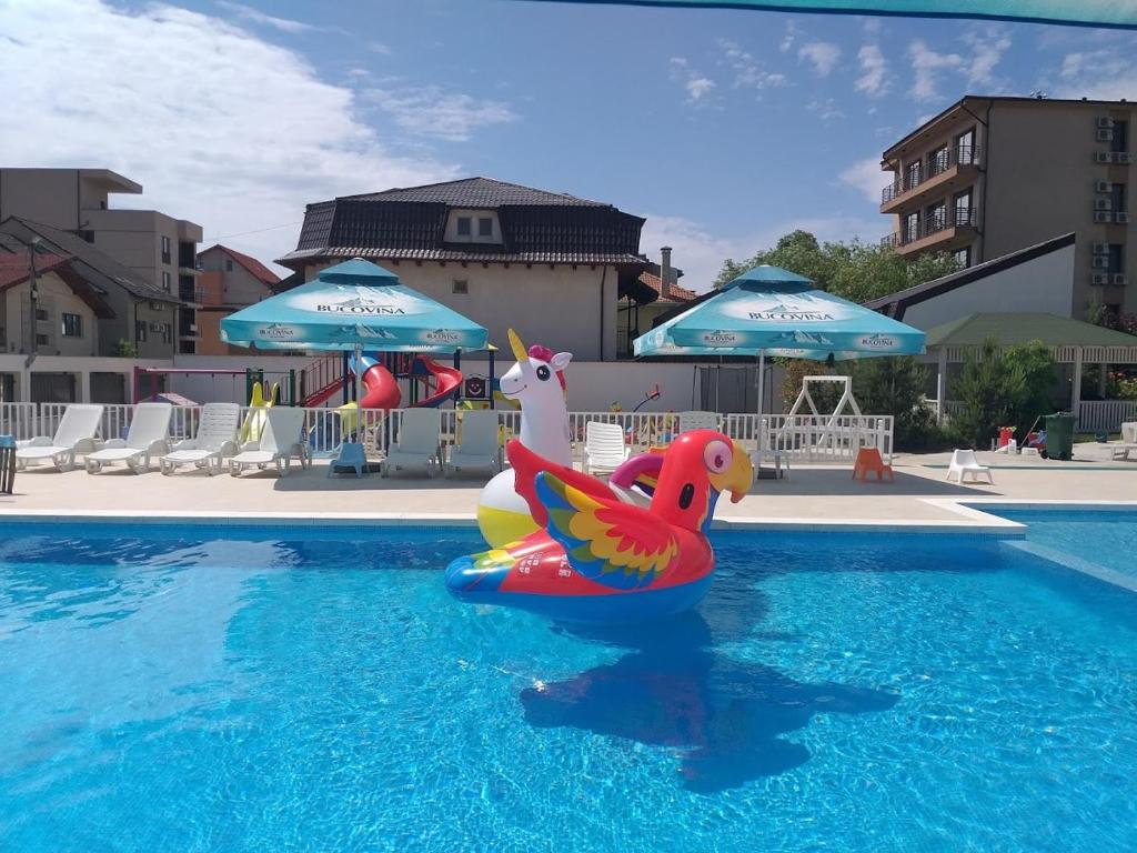 - une piscine avec des nouilles dans l'eau dans l'établissement Vila Sangria, à Mamaia Nord – Năvodari