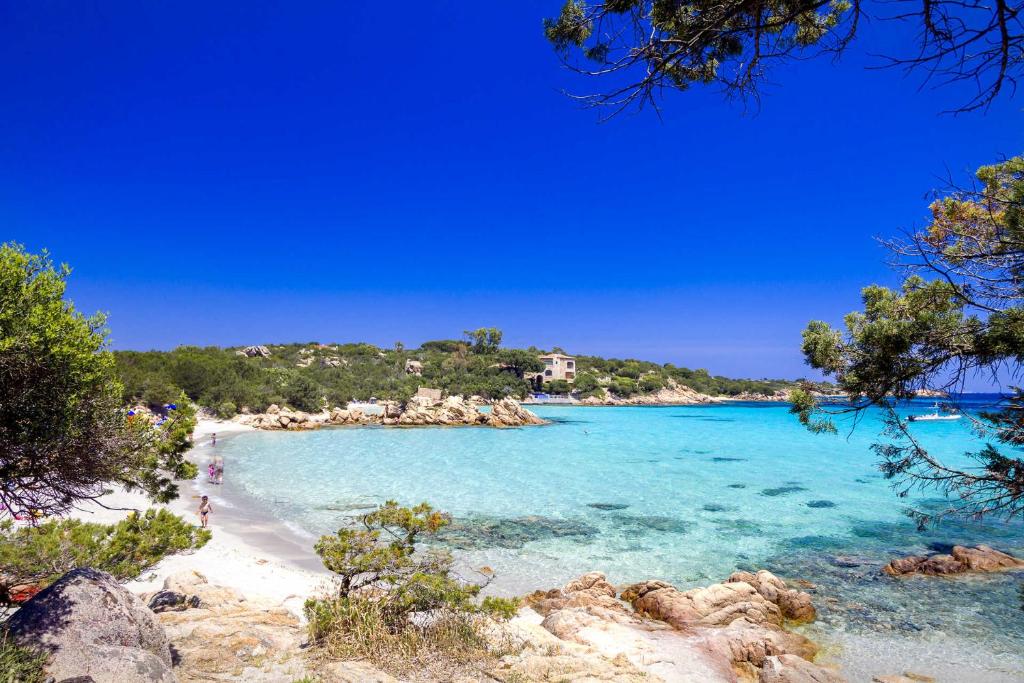 widok na plażę z błękitną wodą i drzewami w obiekcie villa smeralda w mieście Cannigione