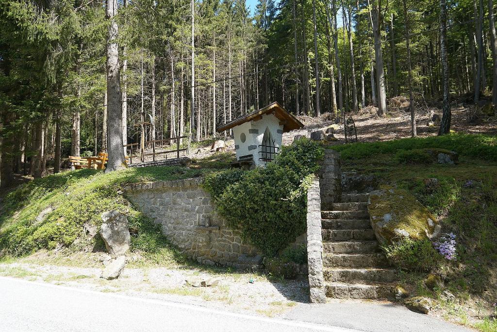 Příroda nedaleko apartmánu