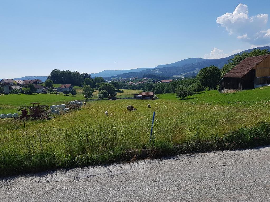 Příroda nedaleko apartmánu