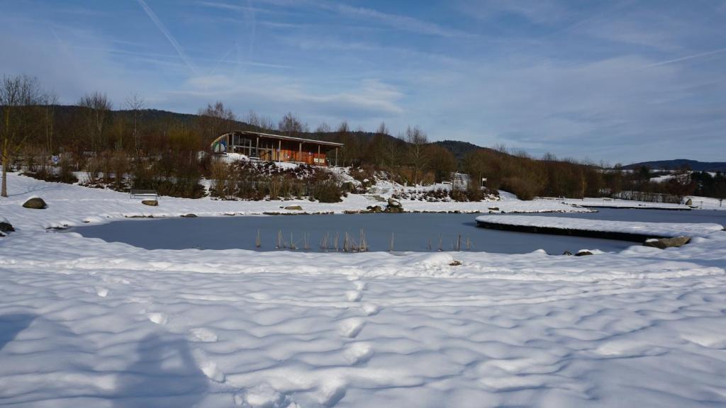 Příroda nedaleko apartmánu