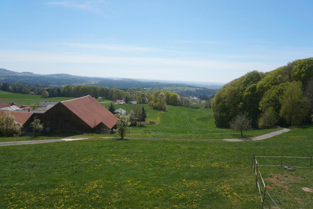 Příroda nedaleko apartmánu