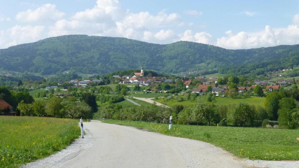 Příroda nedaleko apartmánu