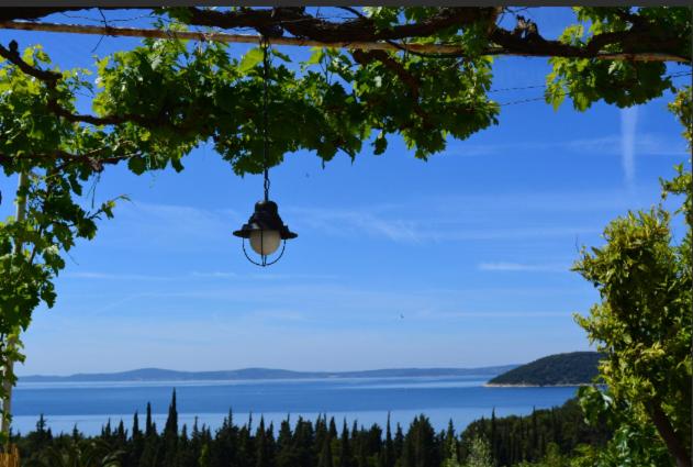a lamp hanging from a tree with a view of a lake at Mediterranean House - Forest Marjan in Split