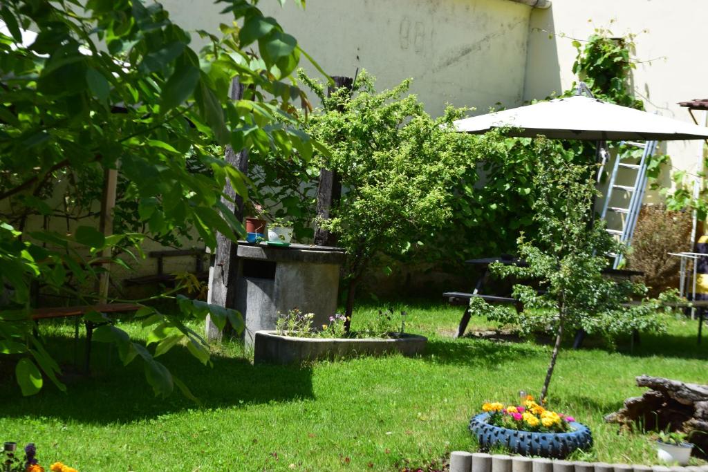 Zahrada ubytování Pension GreenHouse