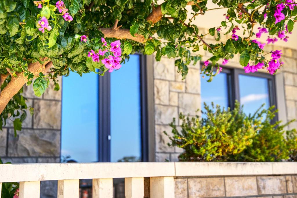 Villa Lenka and Mate Ivanac - 16