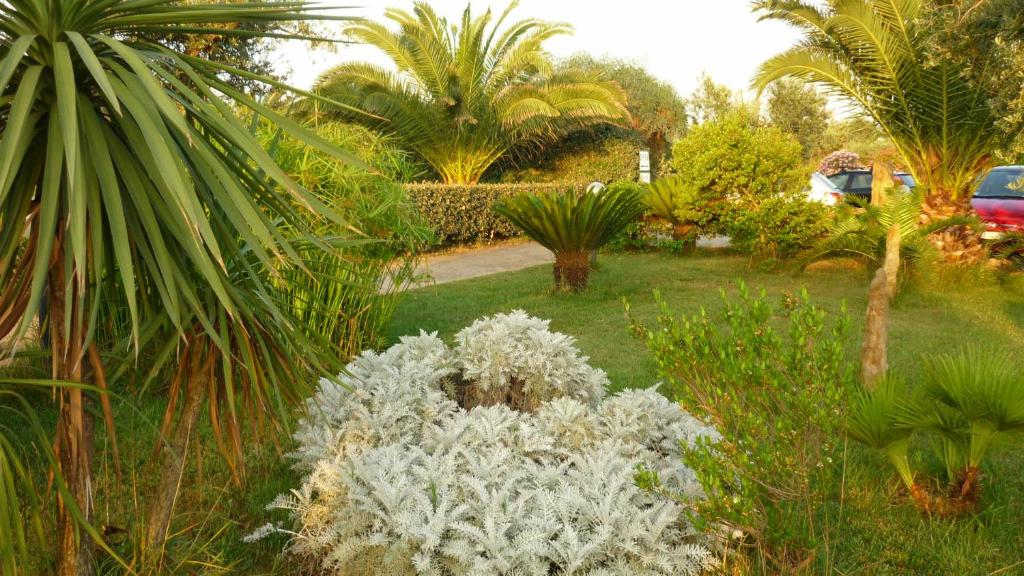 Een tuin van Agriturismo Isidoro