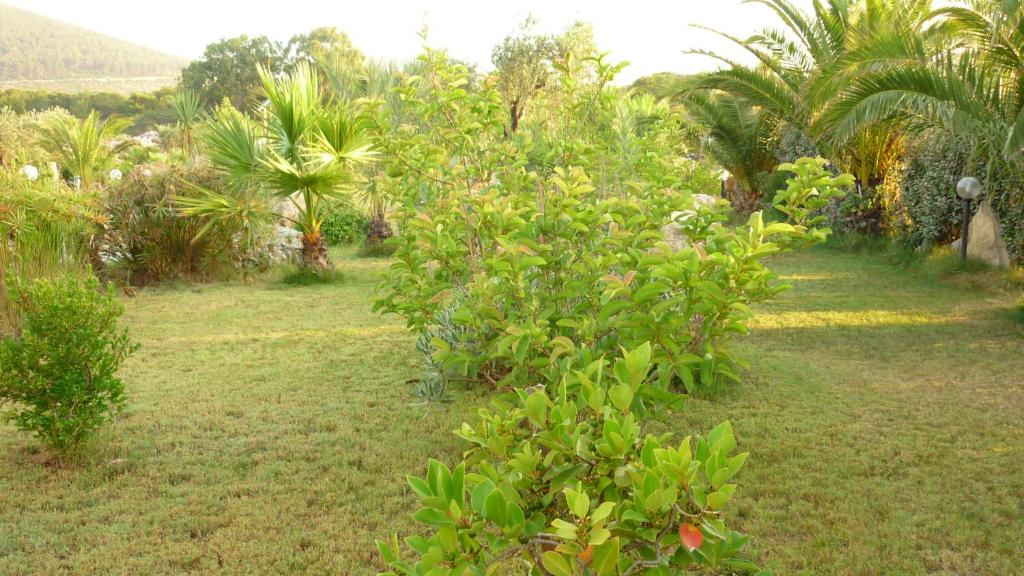 Een tuin van Agriturismo Isidoro