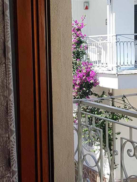 Una finestra sul glicine - Apartamento De Una Habitación