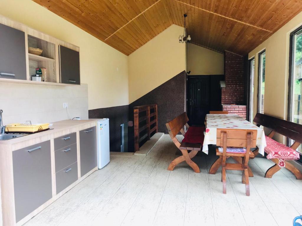 a kitchen with a table and chairs in a room at Casa de vacanta Dana in Şugag