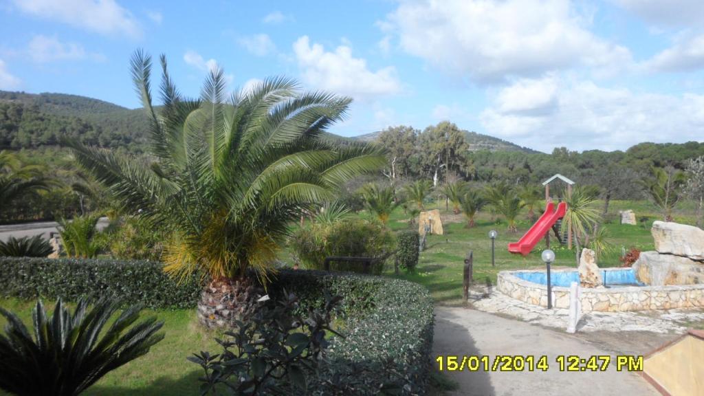 a resort with a palm tree and a slide at Agriturismo Isidoro in Fertilia