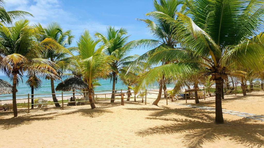 un grupo de palmeras en una playa con el océano en Pousada Entre as Águas, en Imbassai