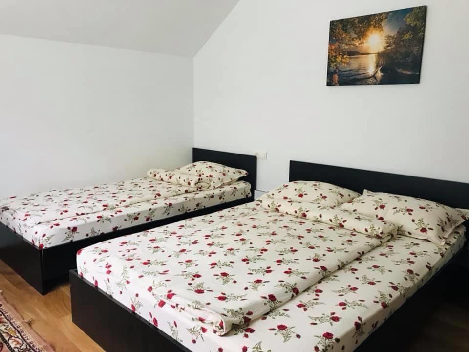 two beds in a room with red flowers on them at Casa de vacanta Dana in Şugag