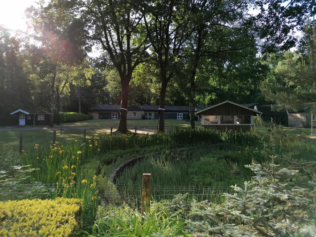 einen Garten mit einem Zaun, Bäumen und Häusern in der Unterkunft Waldjugendherberge Uelsen in Uelsen