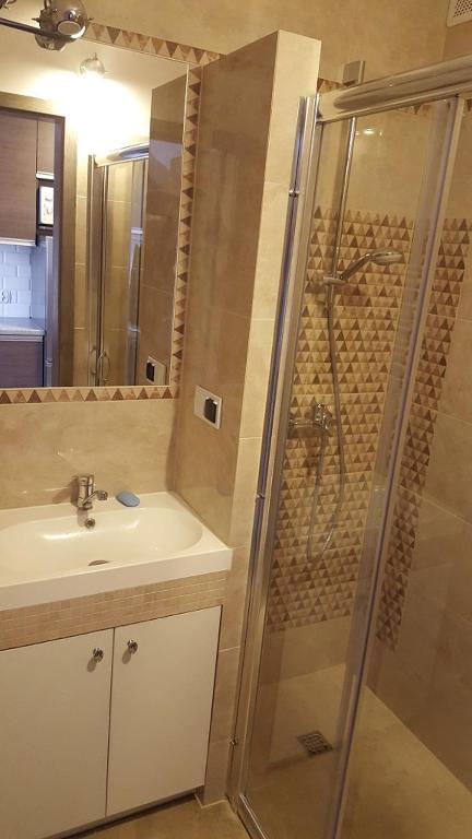 Kúpeľňa v ubytovaní Apartament Unii Europejskiej